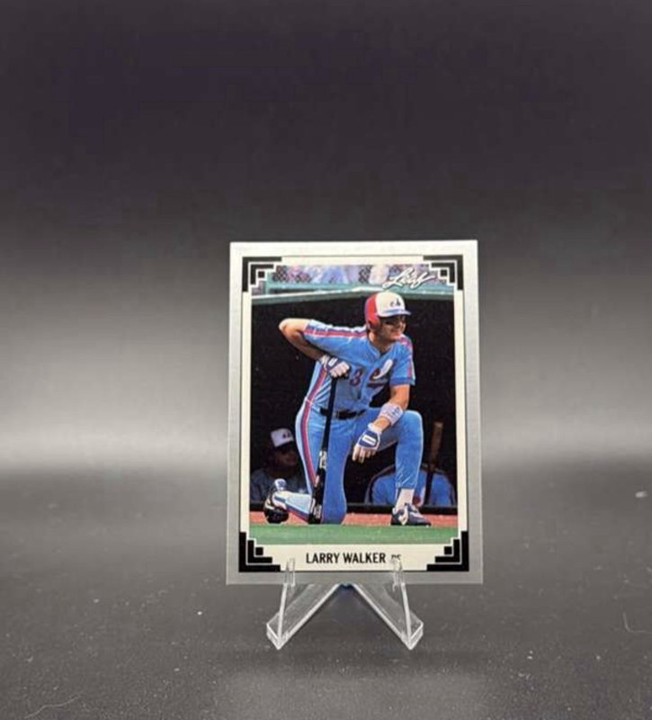 1991 Leaf - Larry Walker #241