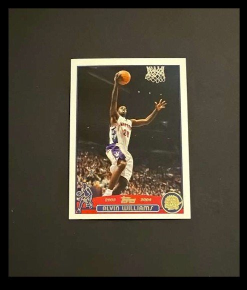 2003-04 Topps - Alvin Williams #71
