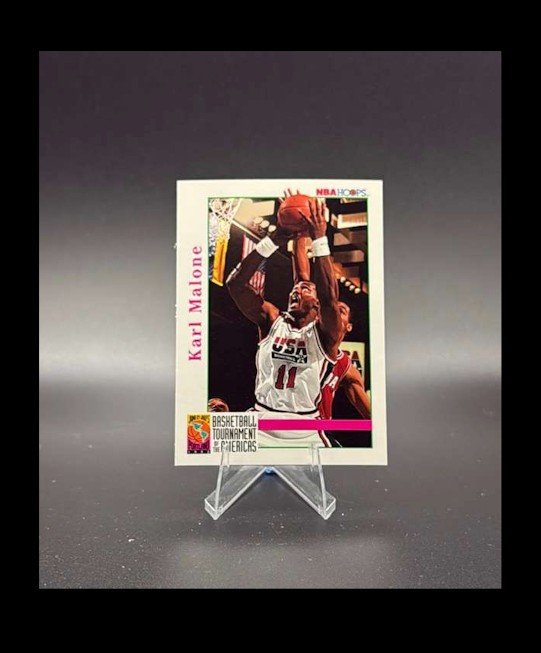1992-93 NBA Hoops - Karl Malone #343