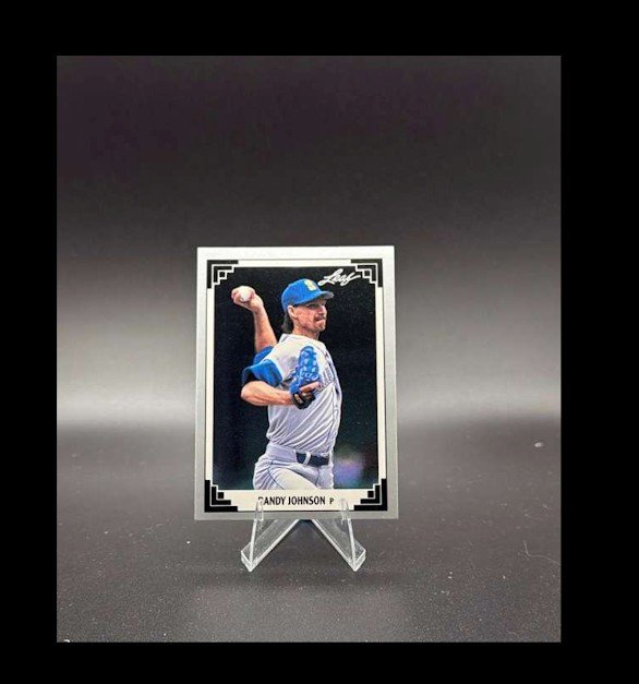 1991 Leaf - Randy Johnson #319