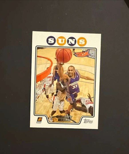 2008-09 Topps - Grant Hill #84
