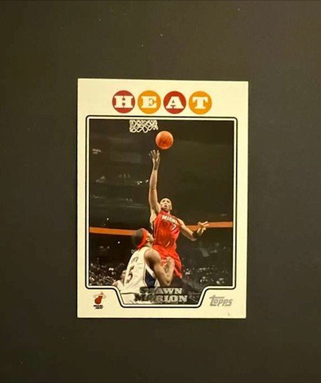 2008-09 Topps - Shawn Marion #31