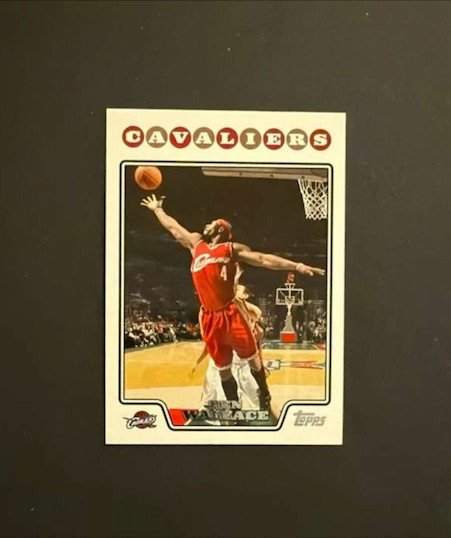 2008-09 Topps - Ben Wallace #133