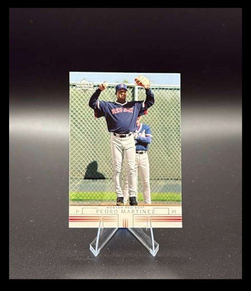 2002 Upper Deck - Pedro Martinez #594