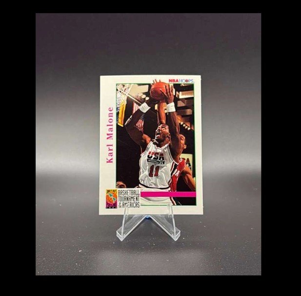 1992-93 NBA Hoops - Karl Malone #343