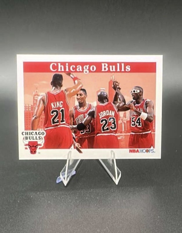 1992-93 Hoops #269 Chicago Bulls