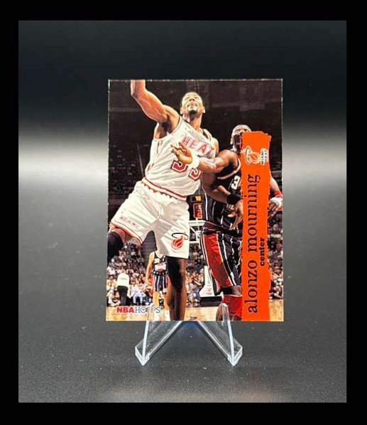1995-96 NBA Hoops - Alonzo Mourning #313